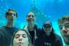 WhatsApp-Image-2025-11-20-a-21.20.04_849076a4